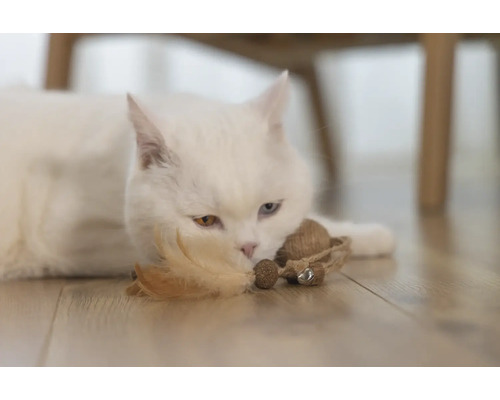 Witte kat ligt met speeltje op de vloer.