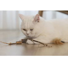 Een witte kat ligt op de grond en speelt met een houten speeltje.