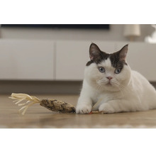 Een kat ligt met een kattenspeeltje op de grond.