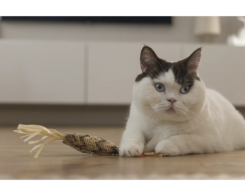 Een kat ligt met een kattenspeeltje op de grond.