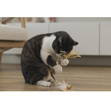 Kat speelt met kattenspeelgoed