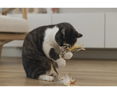 Kat speelt met kattenspeelgoed