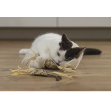 Een kat speelt met een kattenspeeltje op de grond.