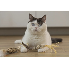 Kat met kattenspeelgoed op de vloer