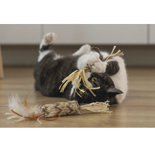 Kat speelt met speelgoed op de vloer