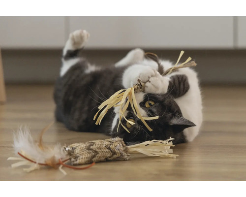 Kat speelt met speelgoed op de vloer