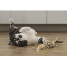 Spelende kat met kattenspeelgoed op de vloer