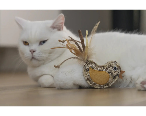 Witte kat ligt met vogel speeltje