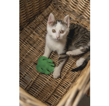 Een kat ligt in een gevlochten mand en speelt met een groen speelgoedblad.