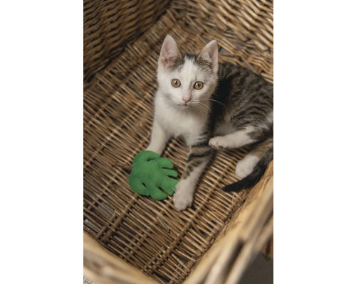 Een kat ligt in een gevlochten mand en speelt met een groen speelgoedblad.