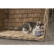 Een kat rust in een gevlochten kattenmand en houdt een speeltje vast
