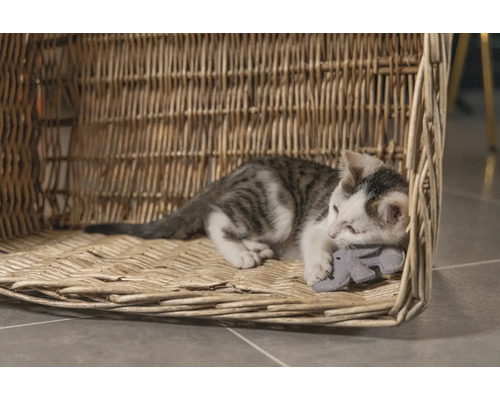 Een kat rust in een gevlochten kattenmand en houdt een speeltje vast