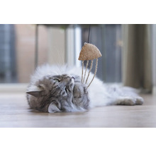 Grijze kat speelt met kattenspeelgoed van kurk en touw