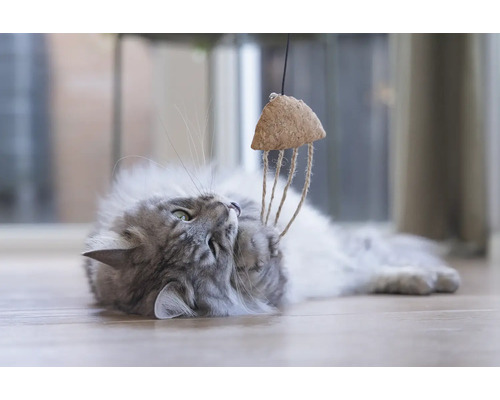 Grijze kat speelt met kattenspeelgoed van kurk en touw