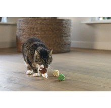 Een tabby kat draagt een speelgoedbal in zijn mond, met meer speelgoedballen op een houten vloer.