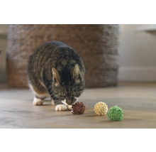 Een kat inspecteert speelballen op de vloer.