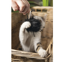 Kat speelt met kattenspeelgoed in een mand