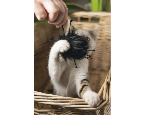 Kat speelt met kattenspeelgoed in een mand