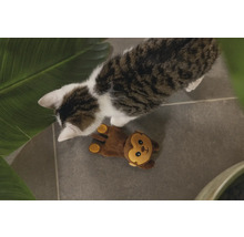 Kat met aap knuffel op de vloer