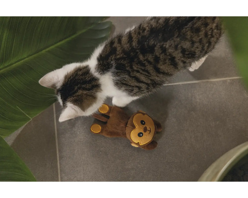 Kat met aap knuffel op de vloer