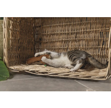 Kat speelt met een speeltje in een rieten mand