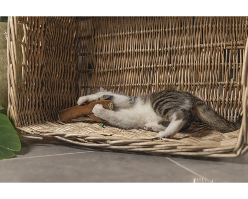Kat speelt met een speeltje in een rieten mand