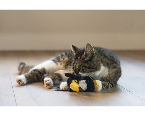 Gestreepte kat ligt met speelgoed op de grond.