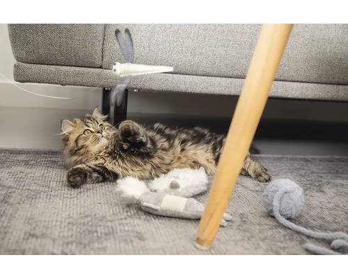 Speelse kat op een vloerkleed met speelgoed