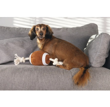 Teckel zit met speelgoedfootball op een grijze bank.