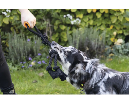 Persoon en hond spelen met een touwspeeltje met handvat