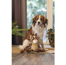 Hond zit met een giraffe knuffeldier op een kleed