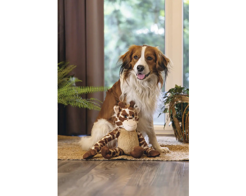 Hond zit met een giraffe knuffeldier op een kleed