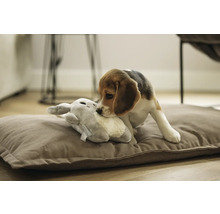 Beagle puppy speelt met knuffel op hondenkussen