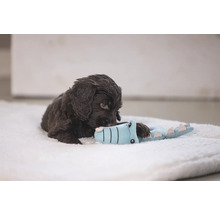 Bruine puppy speelt met krokodillenspeelgoed op een zachte ondergrond.