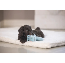 Bruine puppy ligt op een lichte deken en speelt met een speeltje