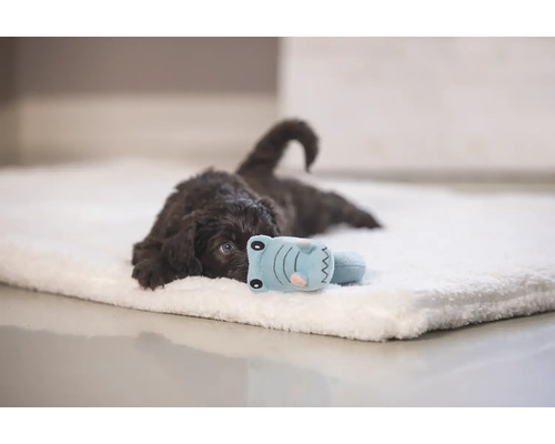 Een bruine puppy ligt op een zachte hondenmat met een speeltje.