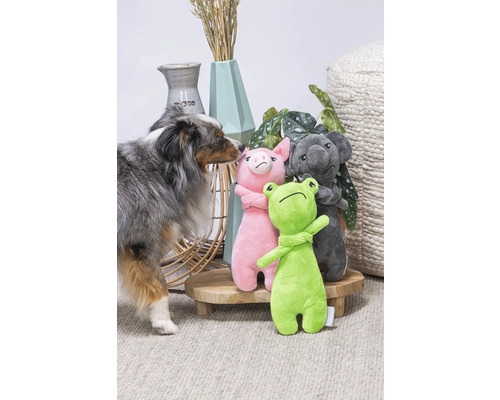 Scene met hond en knuffels: kikker, varken en koala op een houten tafel.