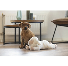 Lichte ruimte met jonge hond en pluchen schaap