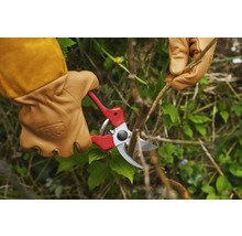 Tuinieren met een snoeischaar en tuinhandschoenen