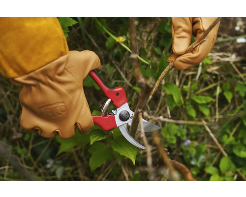 Tuinieren met een snoeischaar en tuinhandschoenen