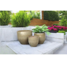 Scène met drie keramische bloempotten in de tuin