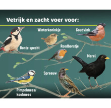 Illustratie van verschillende vogelsoorten zoals bonte specht, winterkoninkje, goudvink, roodborstje, merel, pimpelmees en spreeuw