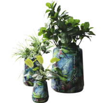 Drie decoratieve vazen met plantenmotief en verschillende groene planten