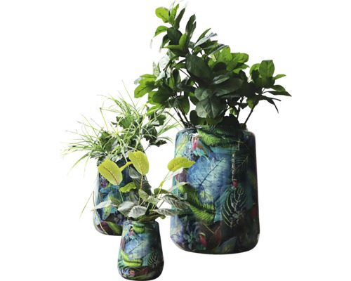 Drie decoratieve vazen met plantenmotief en verschillende groene planten