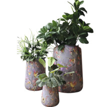 Drie decoratieve bloempotten met planten