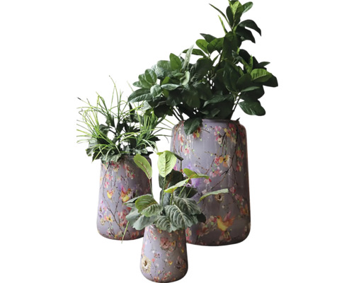 Drie decoratieve bloempotten met planten
