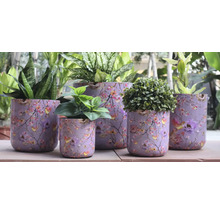 Bloempotten met bloemmotief en diverse planten