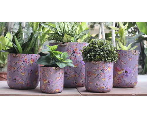 Bloempotten met bloemmotief en diverse planten