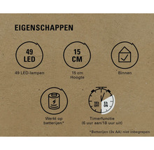 Eigenschappen: 49 leds, 15 cm hoogte, geschikt voor binnen, werkt op batterijen, timerfunctie
