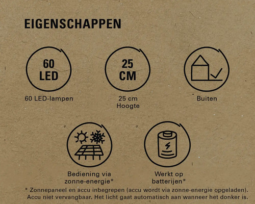 Productkenmerken: 60 LEDs, 25 centimeter hoogte, geschikt voor buiten, werking via zonne-energie, werkt op batterijen